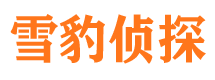 察雅侦探